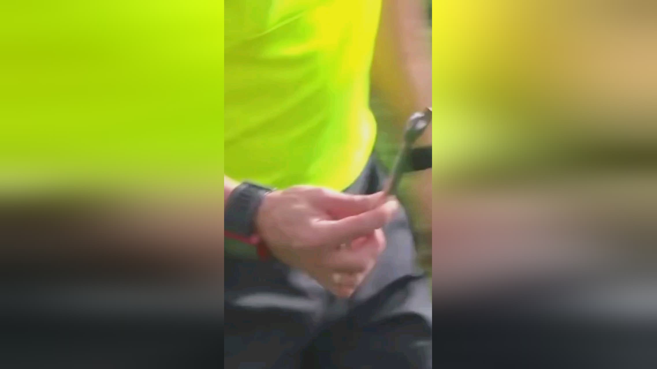 队希望